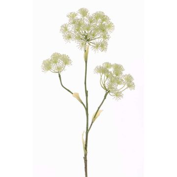 Rama de Heracleum artificial ABDEROS crema, 105cm, Ø12-20cm Rama de Heracleum artificial ABDEROS crema, 105cm, Ø12-20cm