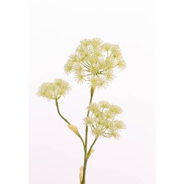 Rama de Heracleum artificial ABDEROS crema, 105cm, Ø12-20cm