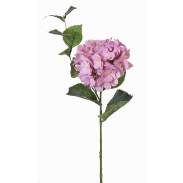 Hortensia flor artificial ASUKA, lila, 80cm, Ø15cm