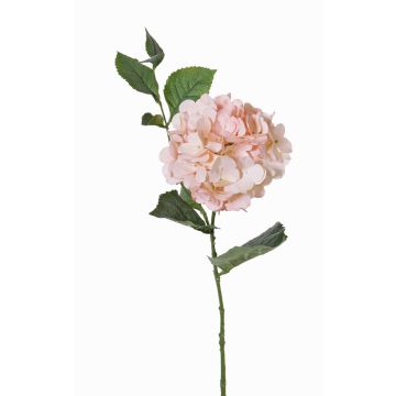 Hortensia flor artificial ASUKA, rosa, 80cm, Ø15cm Hortensia flor artificial ASUKA, rosa, 80cm, Ø15cm