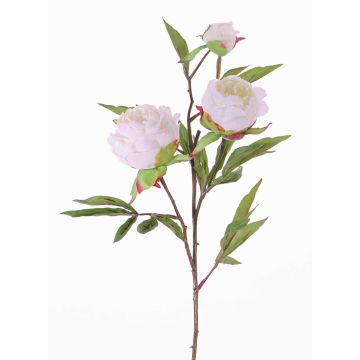 Rama de peonía artificial MANJA, blanco, 70cm, Ø8-10cm