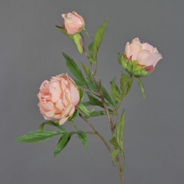 Rama de peonía artificial MANJA, rosa, 70cm, Ø8-10cm