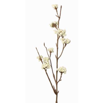 Rama Callicarpa americana artificial LARINA, con bayas, crema, 50cm Rama Callicarpa americana artificial LARINA, con bayas, crema, 50cm