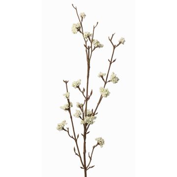 Rama Callicarpa americana artificial LARINA, con bayas, crema, 70cm Rama Callicarpa americana artificial LARINA, con bayas, crema, 70cm