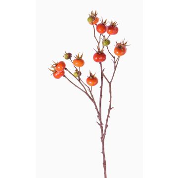 Rama de rosa villosa artificial GERDA, con frutos, naranja, 65cm Rama de rosa villosa artificial GERDA, con frutos, naranja, 65cm