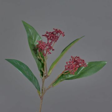 Rama de Skimmia japonica sintética EBONY, con flor, rojo, 35cm