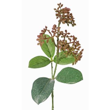 Rama de viburno de imitación LAZAROS, lila-verde, 35cm, Ø5cm Rama de viburno de imitación LAZAROS, lila-verde, 35cm, Ø5cm