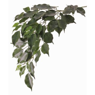 Rama de ficus artificial YUGI, difícilmente inflamable, verde, 75cm Rama de ficus artificial YUGI, difícilmente inflamable, verde, 75cm