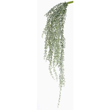 Colgante de senecio artificial KANELO, palo fijación, verde-gris, 80cm Colgante de senecio artificial KANELO, palo fijación, verde-gris, 80cm