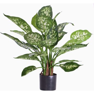 Dieffenbachia artificial DILLA, verde-blanco, 50cm Dieffenbachia artificial DILLA, verde-blanco, 50cm