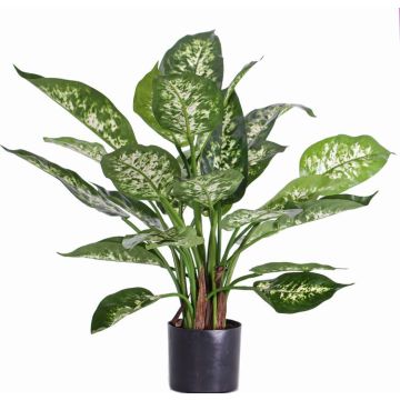 Dieffenbachia artificial DILLA, verde-blanco, 50cm