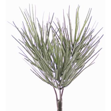 Euphorbia sintética CHENOA, vara fijación, verde-gris, 30cm, Ø20cm Euphorbia sintética CHENOA, vara fijación, verde-gris, 30cm, Ø20cm