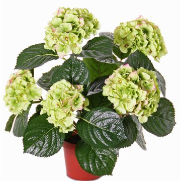 Hortensia sintética TEMARI, verde, 40cm, Ø10-12cm Hortensia sintética TEMARI, verde, 40cm, Ø10-12cm