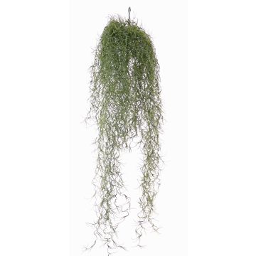 Tillandsia artificial LITA, palo de fijación,espacios semiprotegidos, verde, 75cm Tillandsia artificial LITA, palo de fijación,espacios semiprotegidos, verde, 75cm