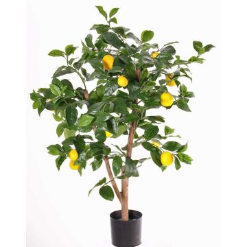 Limonero artificial ZYPRIAN, tronco real, con frutos, verde, 85cm Limonero artificial ZYPRIAN, tronco real, con frutos, verde, 85cm