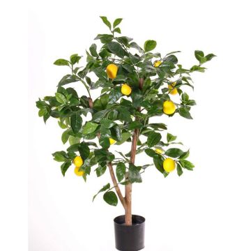 Limonero artificial ZYPRIAN, tronco real, con frutos, verde, 85cm