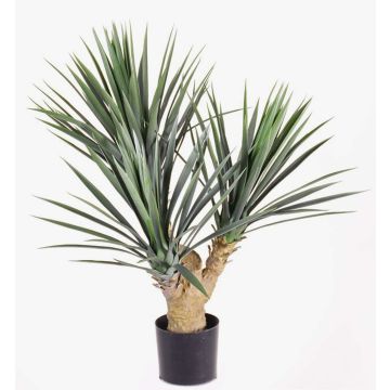 Palmera yuca artificial KEYLA, 70cm Palmera yuca artificial KEYLA, 70cm