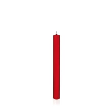 Vela de candelabro TARALEA, rojo, 25cm, Ø2,3cm, 14h - Made in Germany