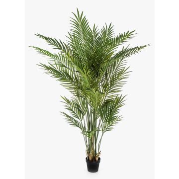 Palma de areca artificial LUVA, 170cm