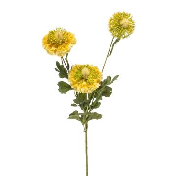 Rama artificial de Scabiosa caucasica ANAYS, amarillo-verde, 80 cm Rama artificial de Scabiosa caucasica ANAYS, amarillo-verde, 80 cm