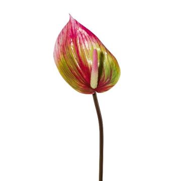 Flor artificial flor de flamingo GRUNT, verde-rosa, 75 cm