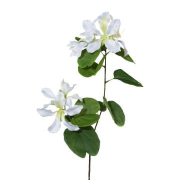 Rama decorativa Bauhinia DRELMO, blanca, 85 cm