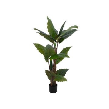 Planta artificial Alocasia Calidora PATRICIUS, verde, 140 cm Planta artificial Alocasia Calidora PATRICIUS, verde, 140 cm