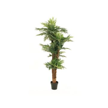Palmera Areca artificial CYNTHIA, 170cm