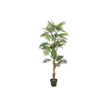 Chamaedorea artificial DUENA, 150cm