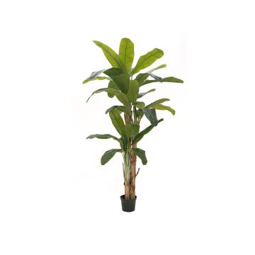 Platanera artificial FLORIS, tronco real, 240cm