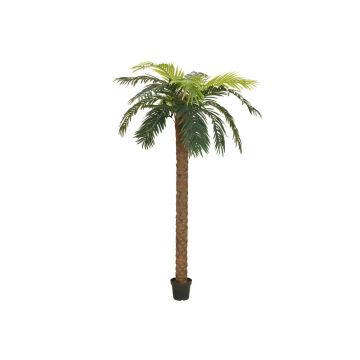 Palmera Phoenix de plástico JOLEEN, 250cm