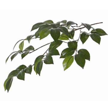 Ramita artificial de camelias RAVEN, verde, 70cm