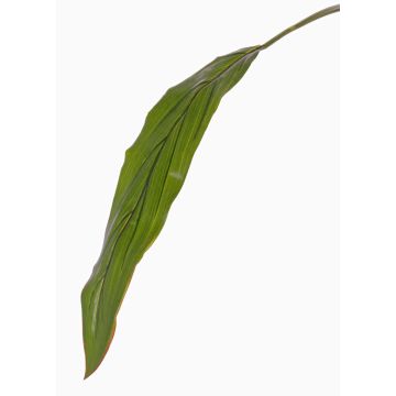 Hoja de Cordyline artificial ELARA, verde, 90cm