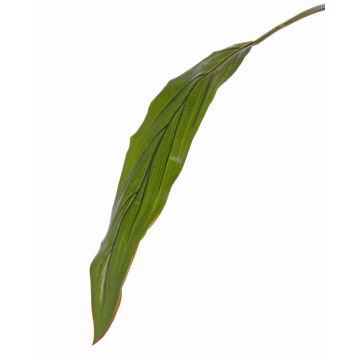 Hoja de Cordyline artificial ELARA, verde, 90cm