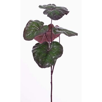 Ligularia przewalskii de plástico NIEVES, verde-violeta, 85cm