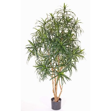 Dracaena Reflexa artificial PHILOMENA, cepas reales, verde, 160cm