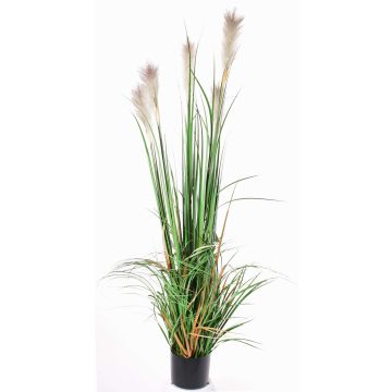 Césped de carrizo artificial EYOTA con panículas, verde-marrón, 150cm Césped de carrizo artificial EYOTA con panículas, verde-marrón, 150cm