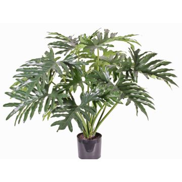 Filodendro paraguayo artificial SILAS, 80cm Filodendro paraguayo artificial SILAS, 80cm