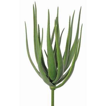 Aloe Vera artificial LAURENA, verde, 65cm, Ø25cm Aloe Vera artificial LAURENA, verde, 65cm, Ø25cm