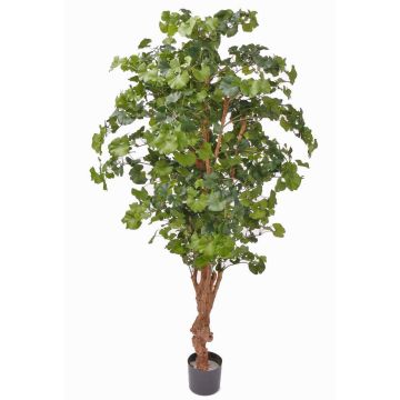 Ginkgo artificial CAI, tronco natural, 180cm Ginkgo artificial CAI, tronco natural, 180cm
