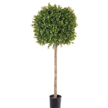 Árbol de boj artificial THORIS, tronco natural, 105cm, Ø40cm