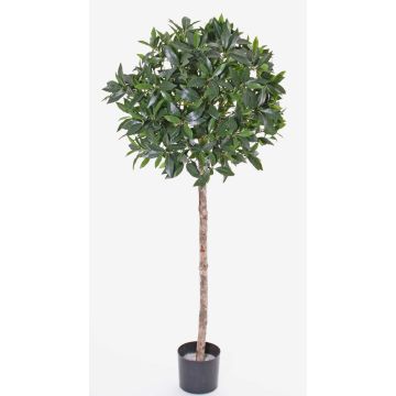 Bola de laurel cerezo artificial ALEXIOS, tallo real, frutos, 145cm, Ø60cm Bola de laurel cerezo artificial ALEXIOS, tallo real, frutos, 145cm, Ø60cm
