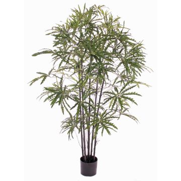 Aralia artificial CARLIE cepas artificiales, verde, 150cm Aralia artificial CARLIE cepas artificiales, verde, 150cm