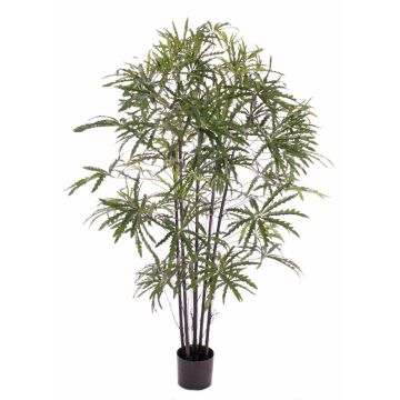 Aralia artificial CARLIE cepas artificiales, verde, 150cm Aralia artificial CARLIE cepas artificiales, verde, 150cm