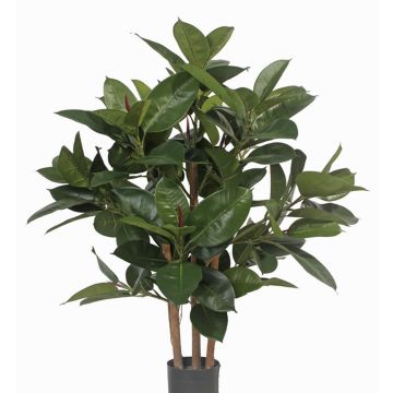 Árbol de caucho artificial KAYDEN, troncos naturales, verde, 80cm Árbol de caucho artificial KAYDEN, troncos naturales, verde, 80cm