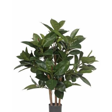 Árbol de caucho artificial KAYDEN, troncos naturales, verde, 80cm