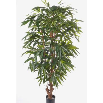 Longifolia artificial MARLIT, tronco natural, 180cm Longifolia artificial MARLIT, tronco natural, 180cm