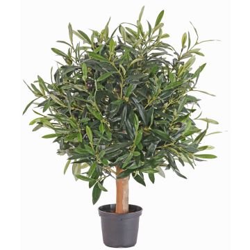 Olivo artificial WYNONA, tronco natural, frutos, 50cm Olivo artificial WYNONA, tronco natural, frutos, 50cm