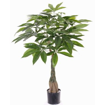 Pachira artificial CASSIAN, tronco sintético, 90cm Pachira artificial CASSIAN, tronco sintético, 90cm