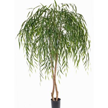Sauce llorón artificial GWENDOLIN, tallos naturales, verde, 180cm Sauce llorón artificial GWENDOLIN, tallos naturales, verde, 180cm